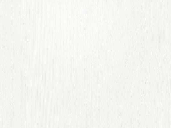 Dekorpaneele Terra DP250 Vintage white