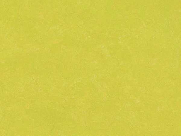 Linoleum Apple Fliese