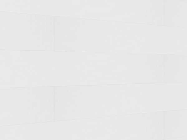 Dekorpaneele Terra DP250 White mesh