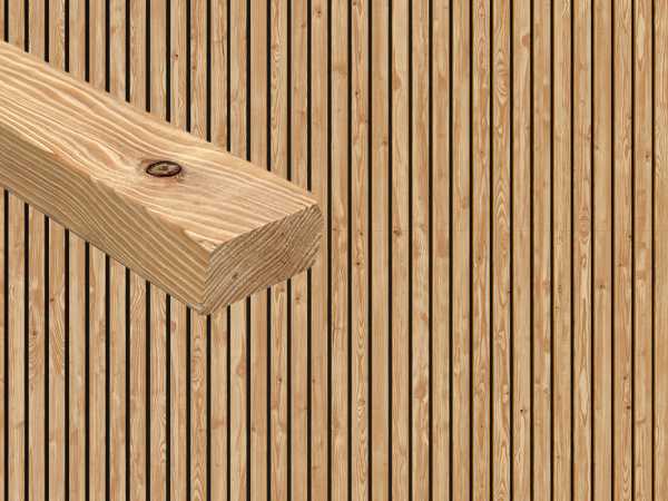 Fassade Rhombusleiste kanadische Lärche