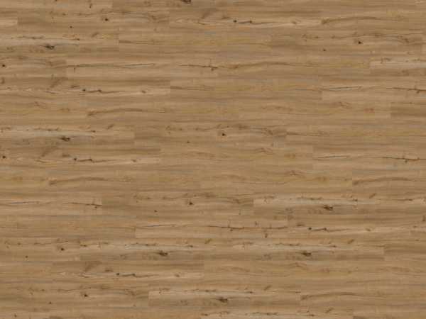 Korkboden Naturboden Wood Start Green Design Rustic Canyon Oak