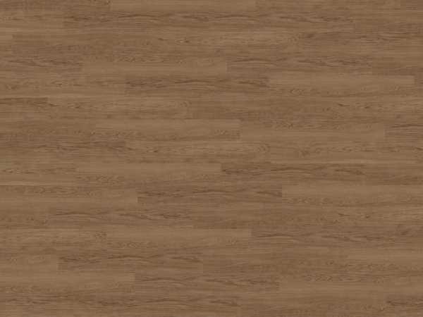 Korkboden Naturboden Wood Natural XL Elegant Oak