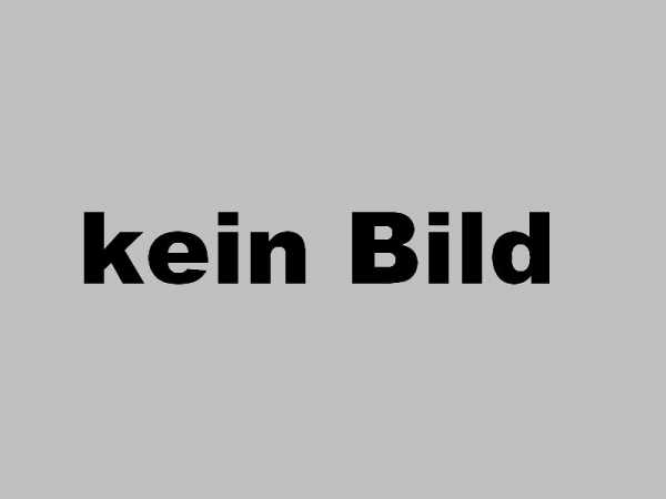 Wandelement für den Pavillon Lucy 12,2 m² naturbelassen