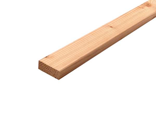 Rhombusleiste Douglasie