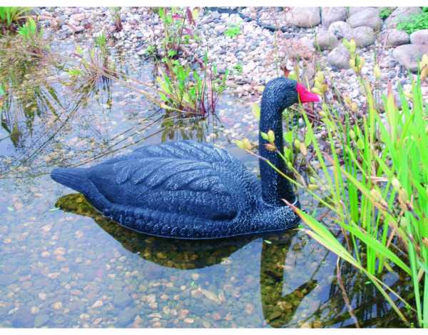 Teichdekoration "Schwan"