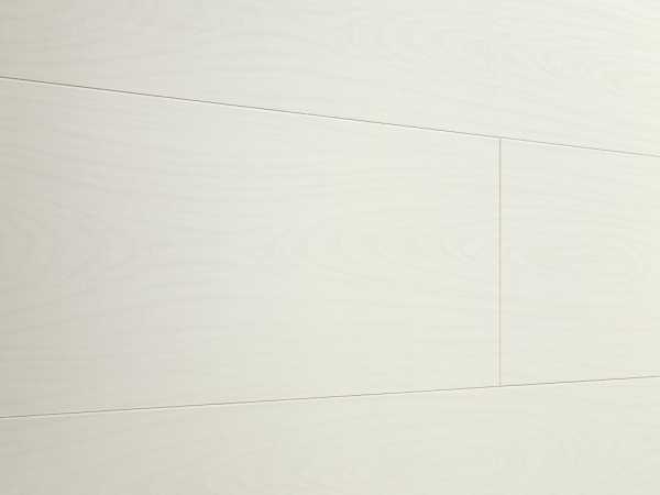 Paneele Dekorfolie Terra DP 250 Silberesche 330