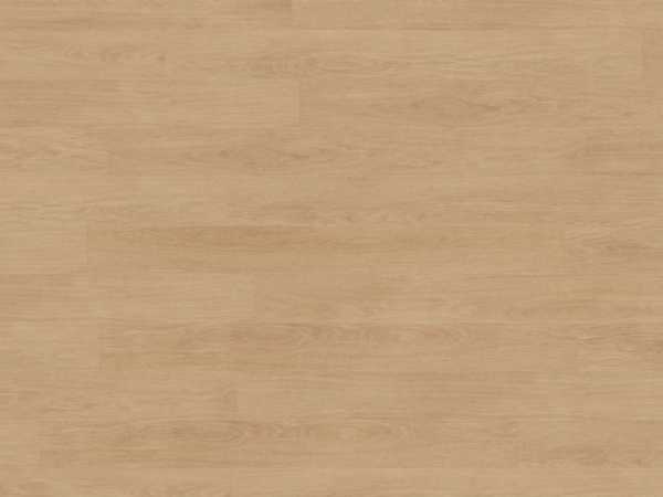 Laminat Elegance Oak Creme 81162 Mammut Plus Landhausdiele