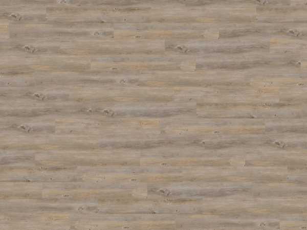 Korkboden Naturboden Wood Natural XL Alaska Oak