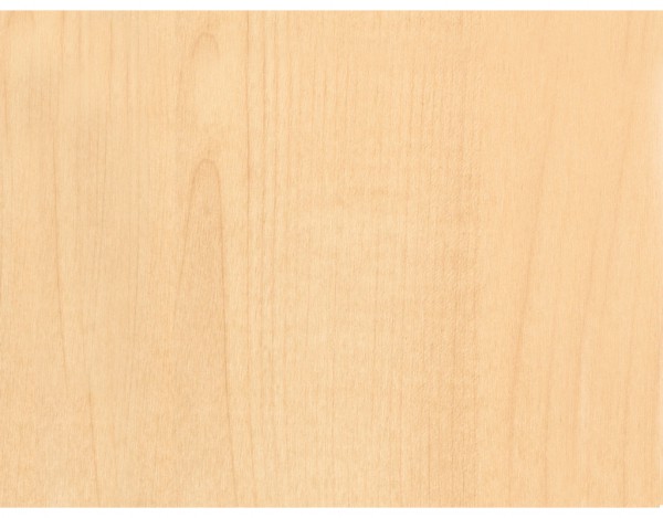 Dekor-Paneele Ahorn-Woodlook "Terra-Klick 600"