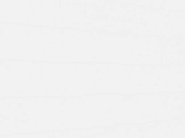 Dekorpaneele Bocado 250 White wall