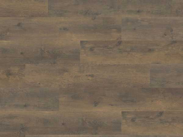 Laminat Tritty 100 Silent CT Campus Eiche Bergamo antik geräuchert Landhausdiele