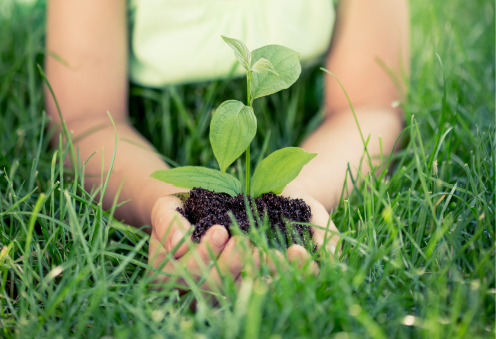 Nachhaltige Produkte