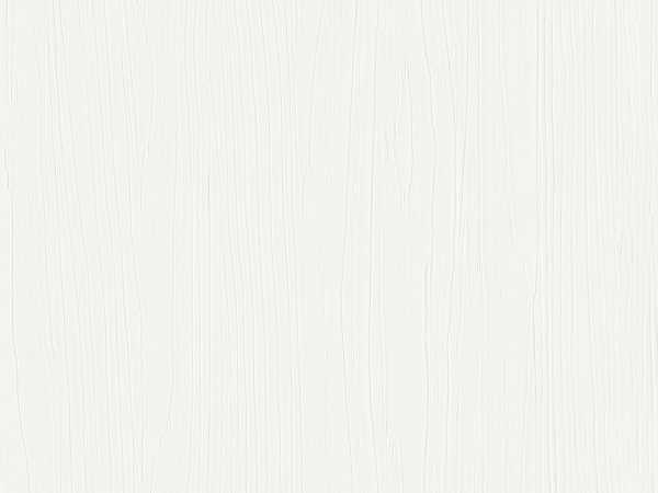 Dekorpaneele Terra DP250 Snow white wood