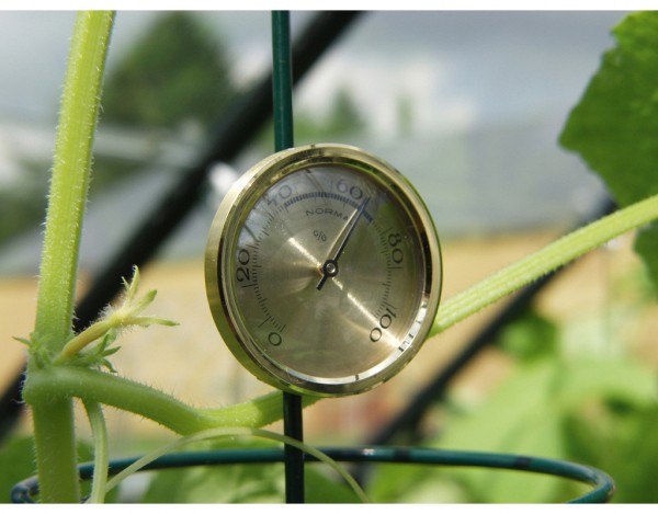 Gewächshaus Zubehör Hygrometer