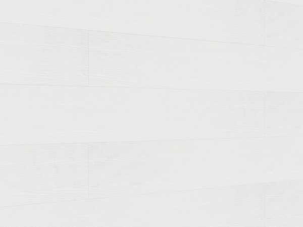 Dekorpaneele Terra DP250 White ash