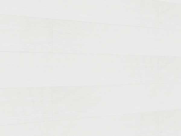 Dekorpaneele Terra DP250 White ash