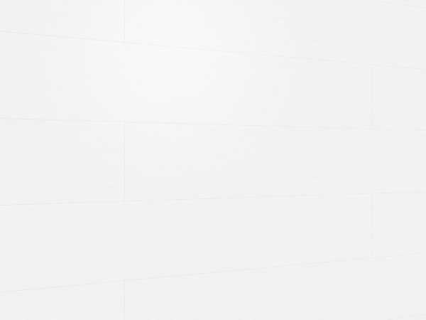 Dekorpaneele Terra DP250 Vintage white
