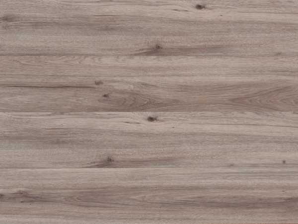 Designboden Plusnatura Eiche Quarz mittel Aschbraun Landhausdiele inkl. Trittschalldämmung