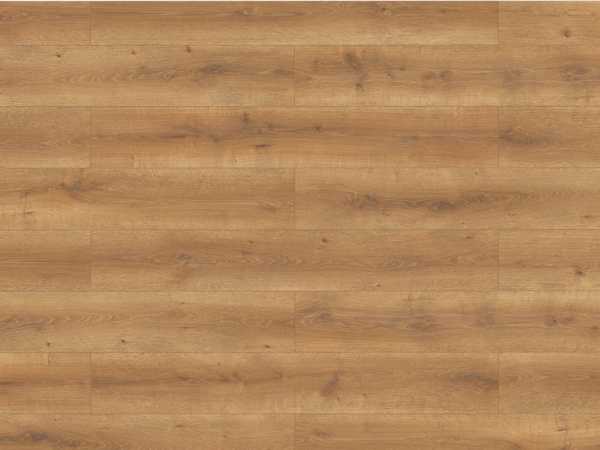 Laminat Lifestyle Trend Bellemont Oak honey brown Landhausdiele