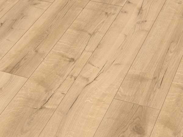 Designboden RM 500 S Marching band 20206 Maxidiele