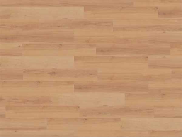 Designboden Beech Natural "Starfloor Click 20" Landhausdiele