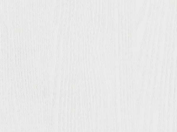 Dekorpaneele Terra DP250 White Ash