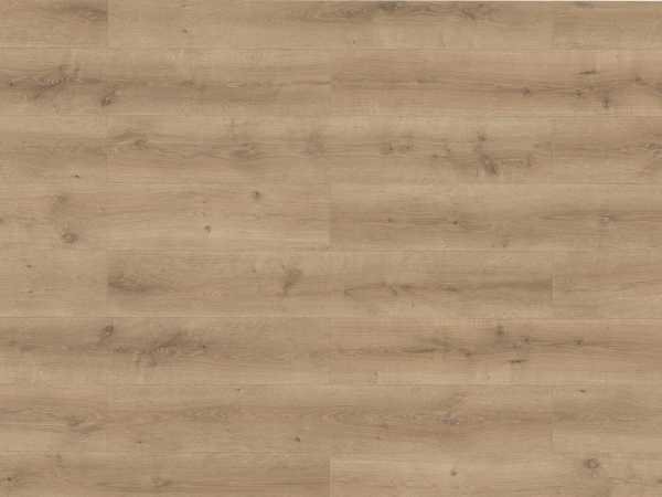 Laminat Lifestyle Trend Bellemont Oak grey brown Landhausdiele