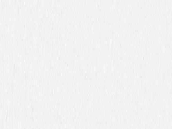 Dekorpaneele Terra DP250 Dusty wood