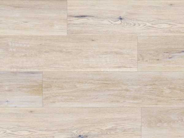 Korkboden Naturboden DESIGNTrend Eiche Pearl