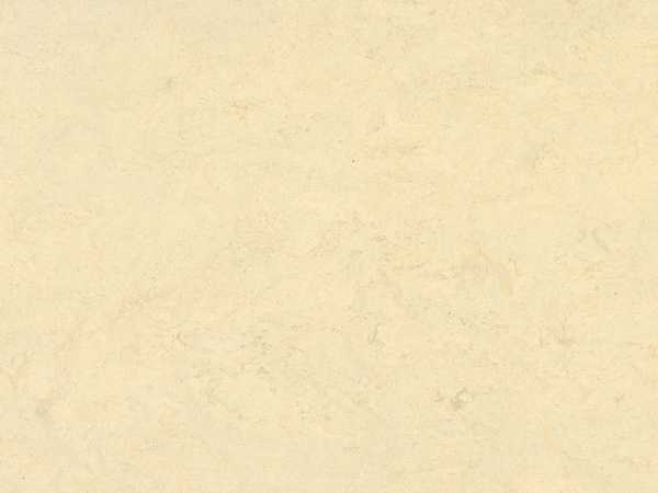 Linoleum Ivory White Fliese
